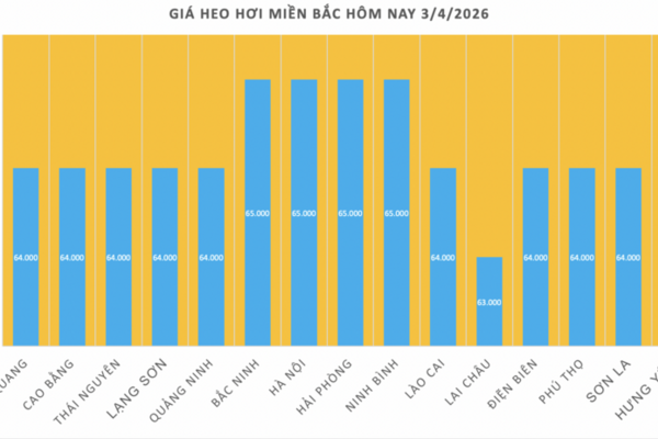 Giá heo hơi hôm nay 3/4/2026: Tiếp đà tăng giá ở miền Bắc, miền Trung