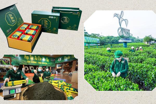 Thái Nguyên ‘nâng tầm’ sản phẩm công nghiệp nông thôn