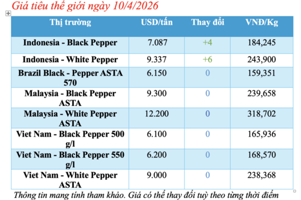 Giá tiêu hôm nay 10/4/2026: Cao nhất 139.000 đồng/kg
