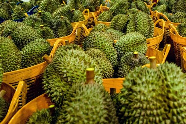 Giá nông sản hôm nay 10/4: Giá sắn tươi tăng mạnh; giá ớt giảm kỷ lục