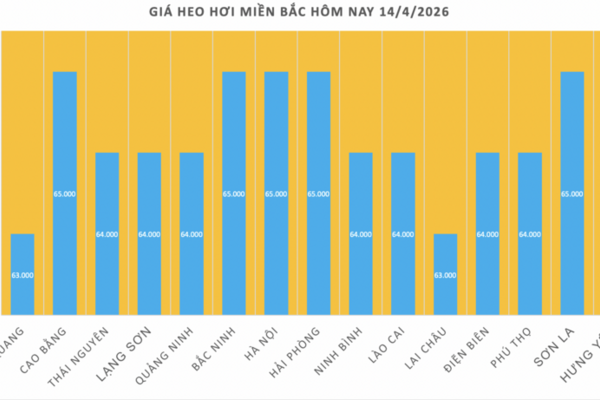 Giá heo hơi hôm nay 14/4/2026: Tiếp tục neo cao