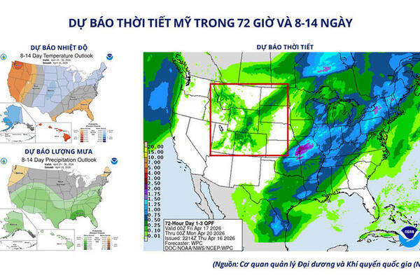 Giá lúa mì tăng mạnh do lo ngại thời tiết, nguồn cung thắt chặt