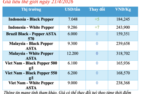 Giá tiêu hôm nay 21/4/2026: Đứng yên chờ tín hiệu mới