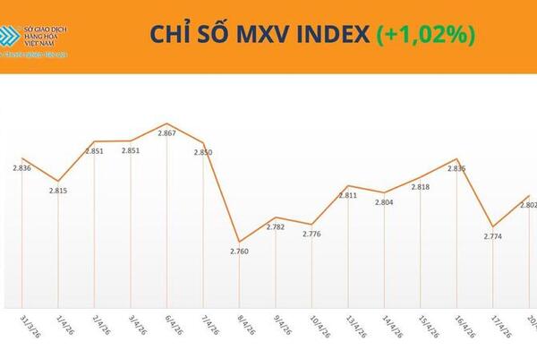 Giá cao su đồng loạt tăng, rủi ro nguồn cung vẫn đè nặng thị trường