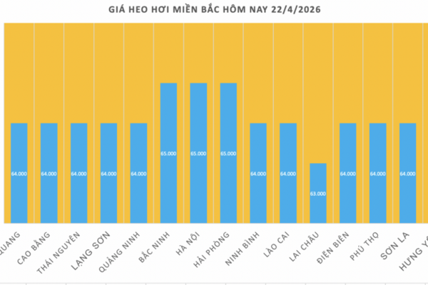 Giá heo hơi hôm nay 22/4/2026: Dao động từ 63.000 - 69.000 đồng/kg