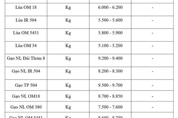 Giá lúa gạo hôm nay ngày 23/4/2026: Gạo xuất khẩu tăng mạnh