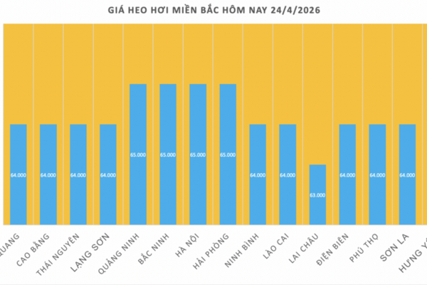 Giá heo hơi hôm nay 24/4/2026: Tăng vài nơi
