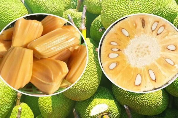 Giá nông sản hôm nay, ngày 24/4: Tăng, giảm trái chiều