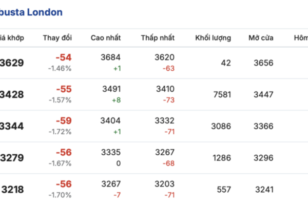 Giá cà phê hôm nay 28/4/2026: Đi ngang sau kỳ nghỉ lễ