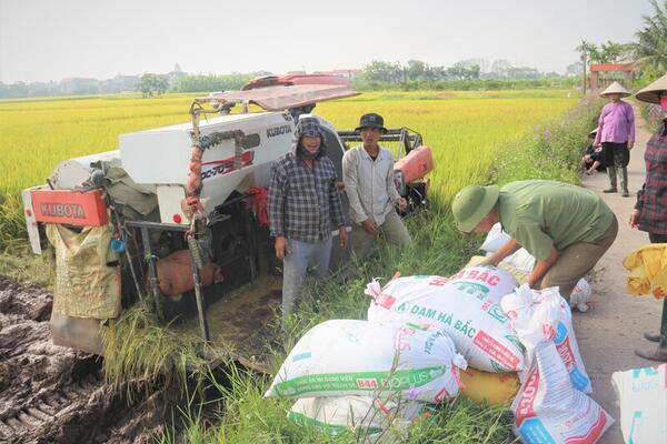 Xuất khẩu giảm tốc, ngành lúa gạo đứng trước yêu cầu đổi hướng