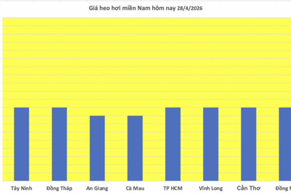 Giá heo hơi hôm nay 28/4/2026: Tăng nhẹ tại Nghệ An