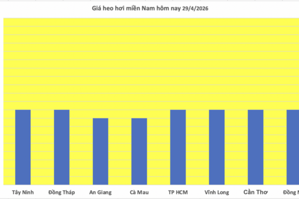 Giá heo hơi hôm nay 29/4/2026: Tiếp tục neo cao