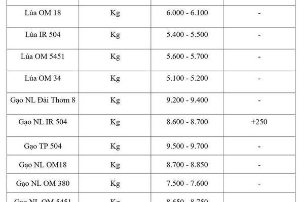 Giá lúa gạo hôm nay ngày 4/5/2026: Gạo nguyên liệu xuất khẩu tăng