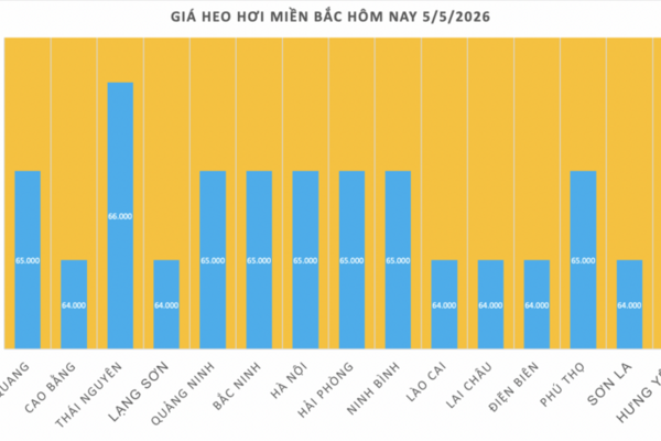 Giá heo hơi hôm nay 5/5/2026: Biến động trái chiều