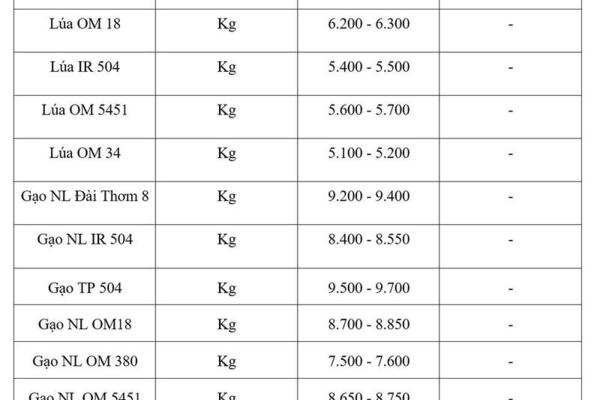 Giá lúa gạo hôm nay ngày 13/5/2026: Lúa tươi tăng nhẹ