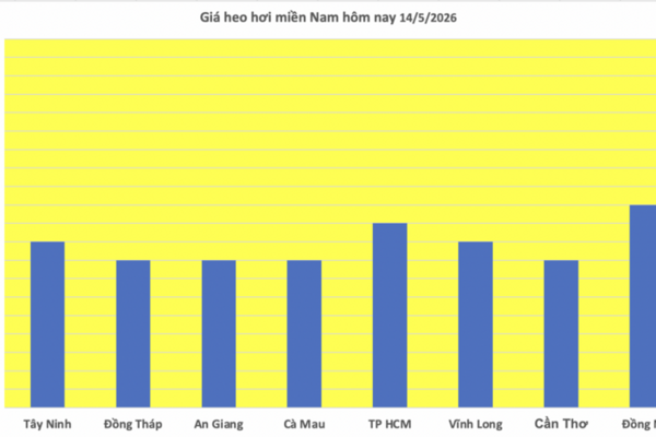Giá heo hơi hôm nay 14/5/2026: Cao nhất 71.000 đồng/kg