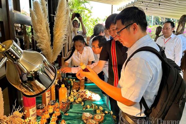 Đà Nẵng: Tăng chế biến sâu để tăng sức cạnh tranh cho quế Trà My