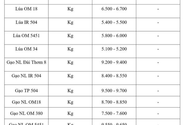 Giá lúa gạo hôm nay ngày 20/5/2026: Gạo xuất khẩu tiếp đà tăng mạnh