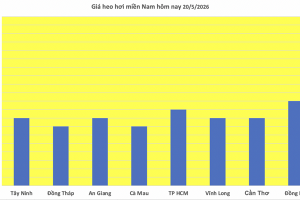 Giá heo hơi hôm nay 20/5/2026: Giảm rải rác