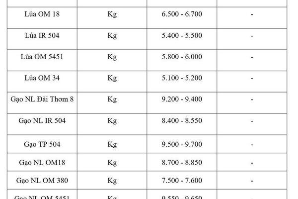 Giá lúa gạo hôm nay ngày 22/5/2026: Gạo xuất khẩu  tăng