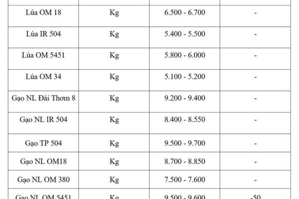 Giá lúa gạo hôm nay ngày 25/5/2026: Gạo xuất khẩu đảo chiều giảm nhẹ