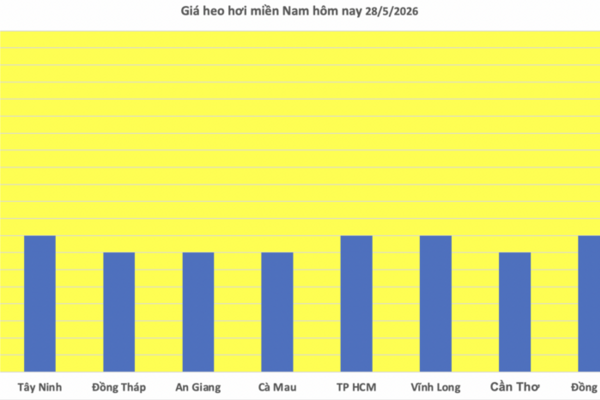 Giá heo hơi hôm nay 28/5/2026: Đảo chiều, giảm rải rác trên cả 3 miền