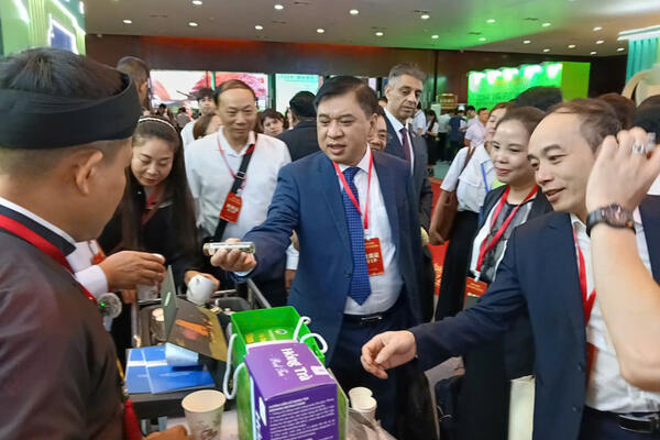 Xuất khẩu chè: Nâng cao năng lực cạnh tranh từ chiến lược dài hạn