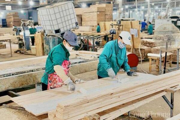 Gia Lai: Sản xuất công nghiệp, xuất khẩu và bán lẻ đồng loạt tăng