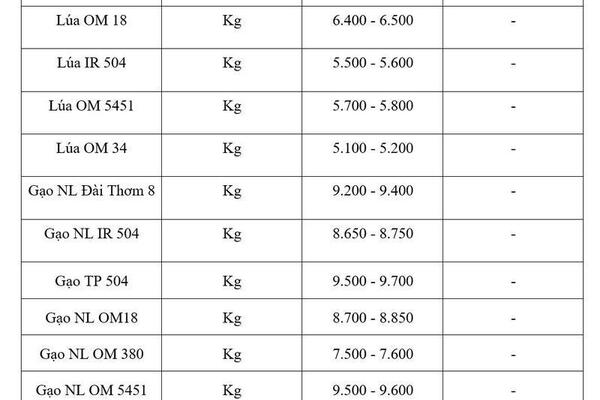 Giá lúa gạo hôm nay ngày 5/6/2026: Gạo xuất khẩu tăng