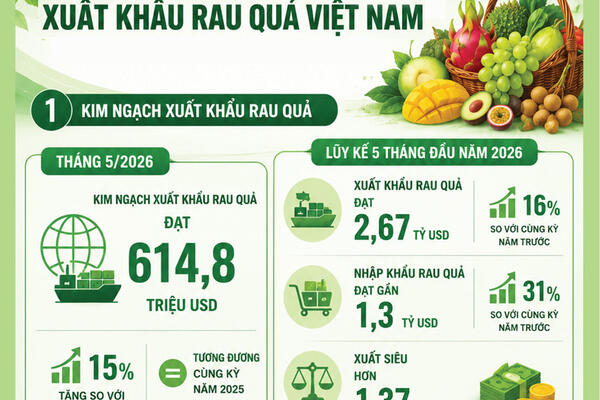 Infographic | 5 tháng/2026, xuất khẩu rau quả duy trì đà tăng trưởng