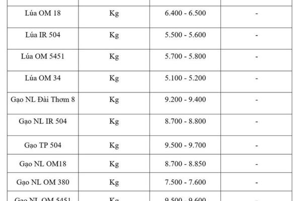 Giá lúa gạo hôm nay ngày 12/6/2026: Tấm thơm giảm nhẹ