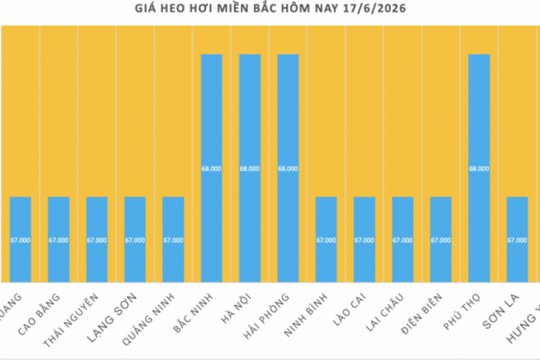 Giá heo hơi hôm nay 17/6/2026: Thị trường tạm chững
