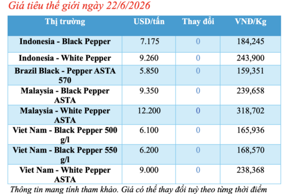 Giá tiêu hôm nay 22/6/2026: Quanh mốc 136.000 - 138.000 đồng/kg