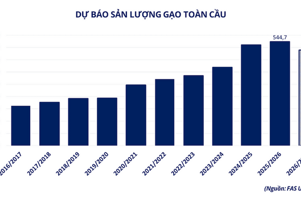 Thị trường gạo toàn cầu thay đổi, gạo Việt đang ở đâu?