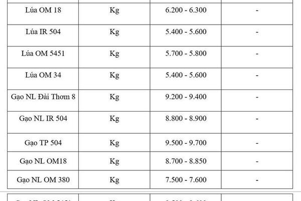 Giá lúa gạo hôm nay ngày 6/7/2026: Gạo OM 18 tăng 500 đồng/kg