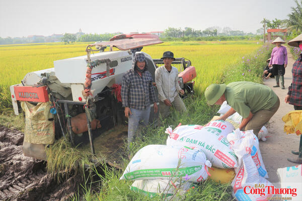 Xuất khẩu nông, lâm, thủy sản đạt gần 42,8 tỷ USD sau 7 tháng năm 2026