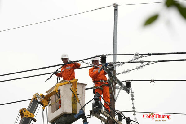 Ngành điện TP. Hồ Chí Minh bảo đảm cấp điện dịp lễ Quốc khánh 2/9