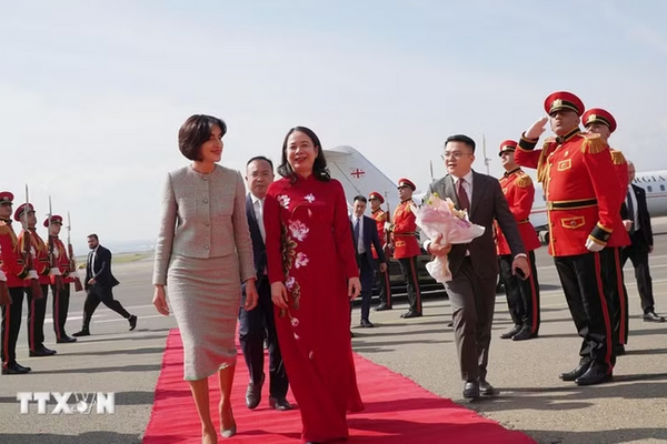Phó Chủ tịch nước Võ Thị Ánh Xuân hội đàm với Thủ tướng Gruzia