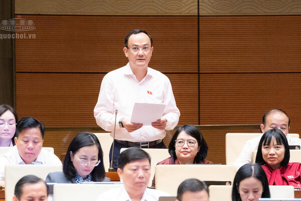 Đại biểu Quốc hội: Mã định danh bất động sản không phải điều kiện mới để giao dịch hợp pháp