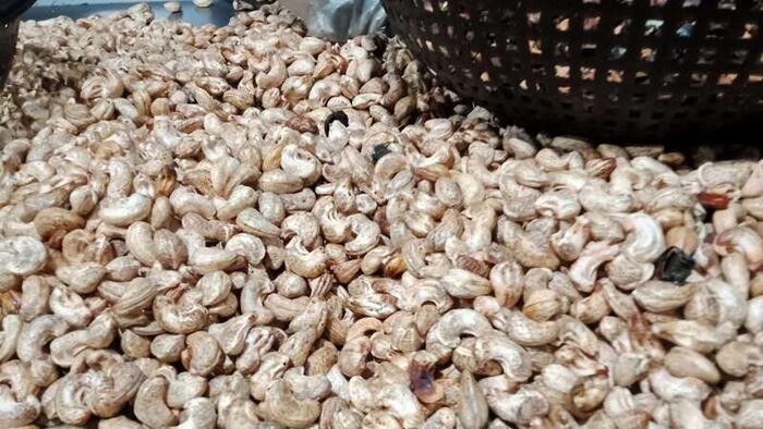 Giá nông sản hôm nay 20/4/2026: Nhiều hàng vào mùa, được giá