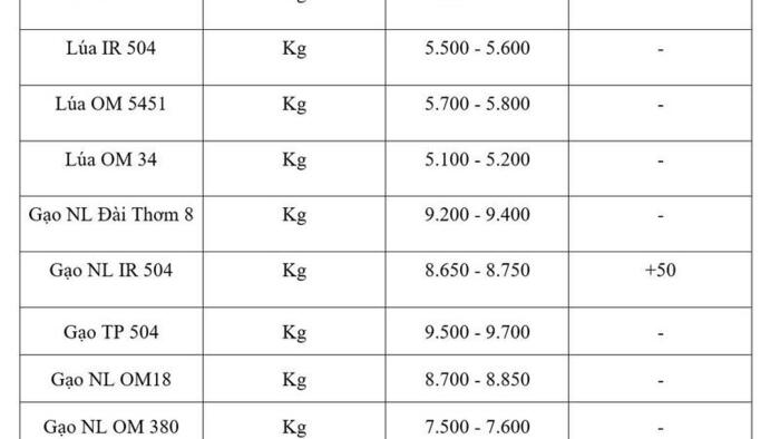 Giá lúa gạo hôm nay ngày 2/6/2026: Gạo nguyên liệu xuất khẩu tăng nhẹ