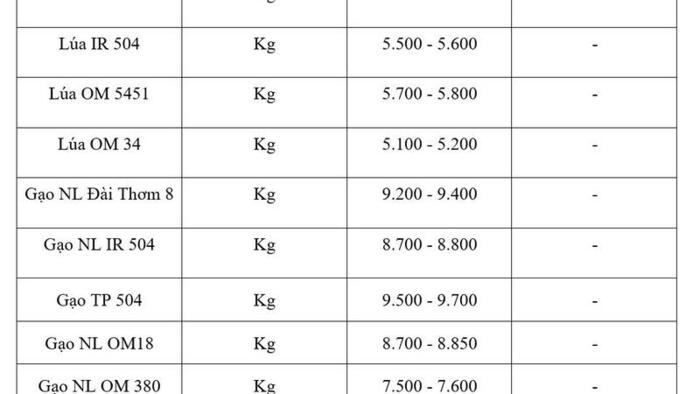 Giá lúa gạo hôm nay ngày 16/6/2026: Gạo xuất khẩu đảo chiều tăng