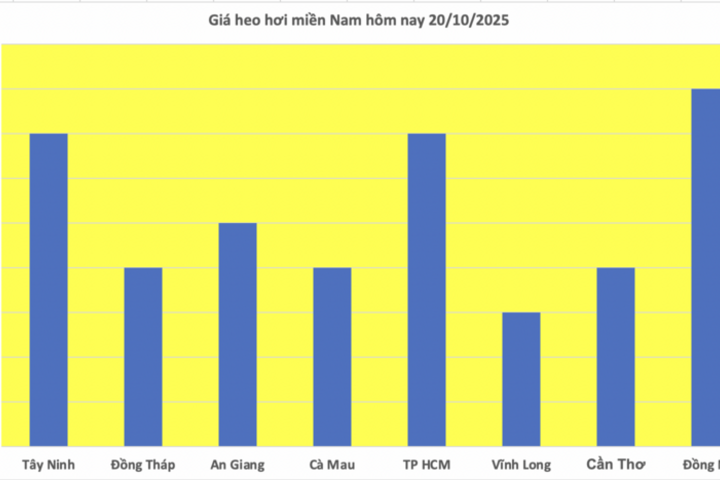 Giá heo hơi hôm nay 20/10/2025: Phiên đầu tuần lặng sóng