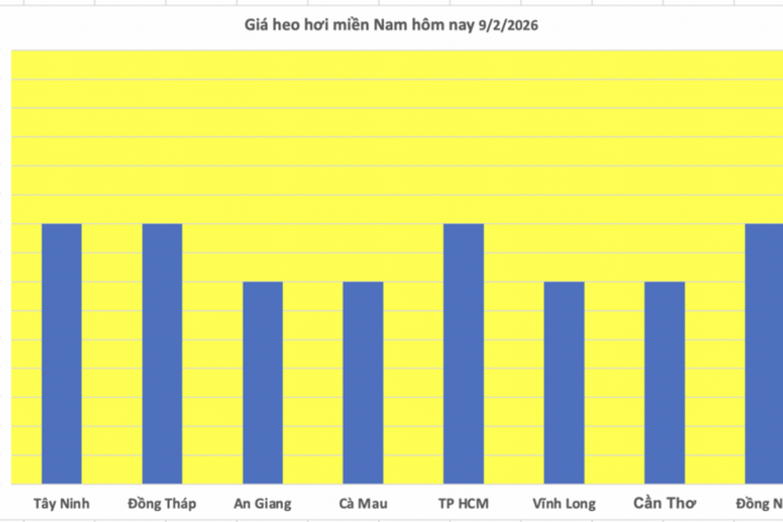Giá heo hơi hôm nay 9/2/2026: Tiếp tục giảm nhiều nơi