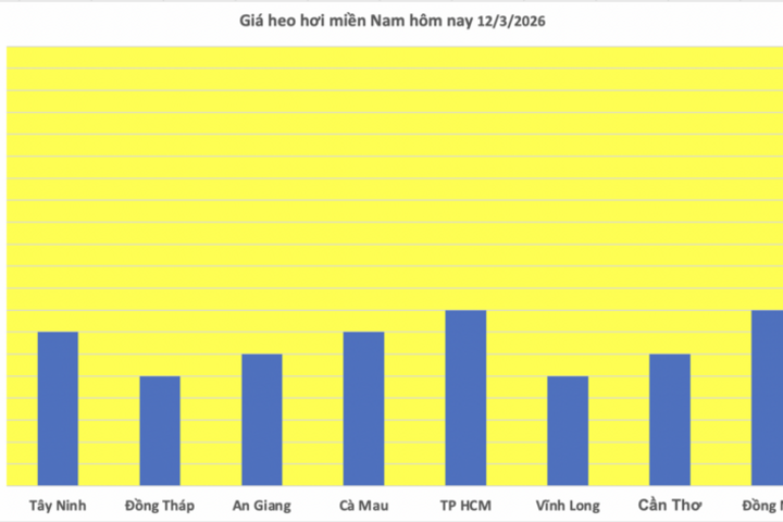Giá heo hơi hôm nay 12/3/2026: Biến động trái chiều