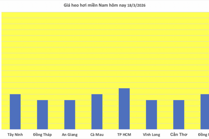 Giá heo hơi hôm nay 18/3/2026: Tăng diện rộng trên cả 3 miền