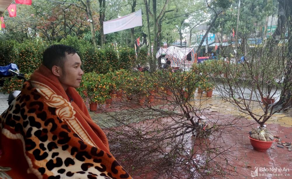 Nghệ An: Người buôn đào quất 'khóc ròng' vì cơn mưa cuối năm