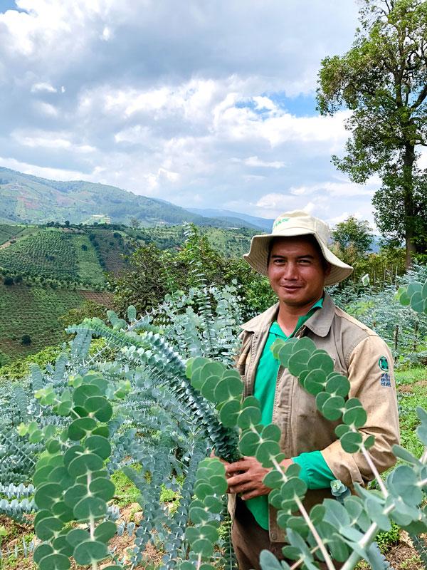 Cil Ha Phước trong vườn đô-la