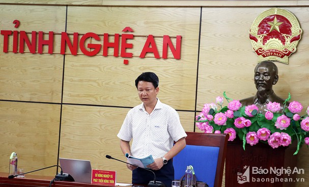 Hội nghị trực tuyến tổng kết chính sách hỗ trợ nâng cao hiệu quả http://baonghean.vn/hoi-nghi-truc-tuyen-tong-ket-chinh-sach-ho-tro-nang-cao-hieu-qua-chan-nuoi-nong-ho-288438.htmlchăn nuôi nông hộ