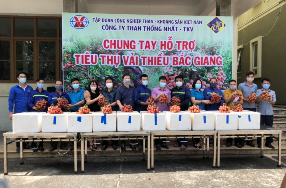 Công ty Than Thống Nhất tham gia tích cực, hỗ trợ tiêu thụ gần 7 tấn vải thiều Bắc Giang